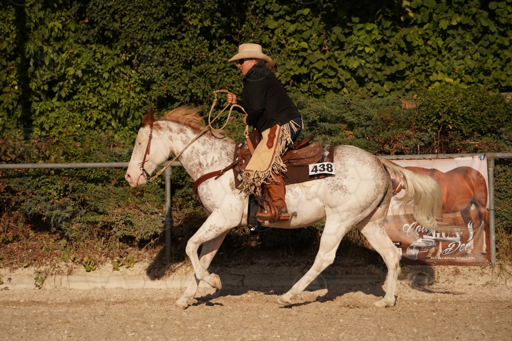 s_A_906741.JPG